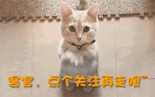 一中产最爱的电商平台停运曾叫板淘宝！ag旗舰厅注册烧光3000万美元！又(图6)